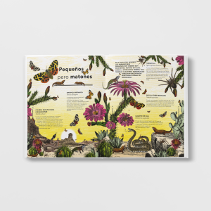 El jardí de les meravelles