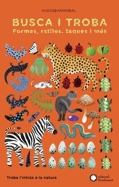 Busca i troba formes, ratlles, taques i més