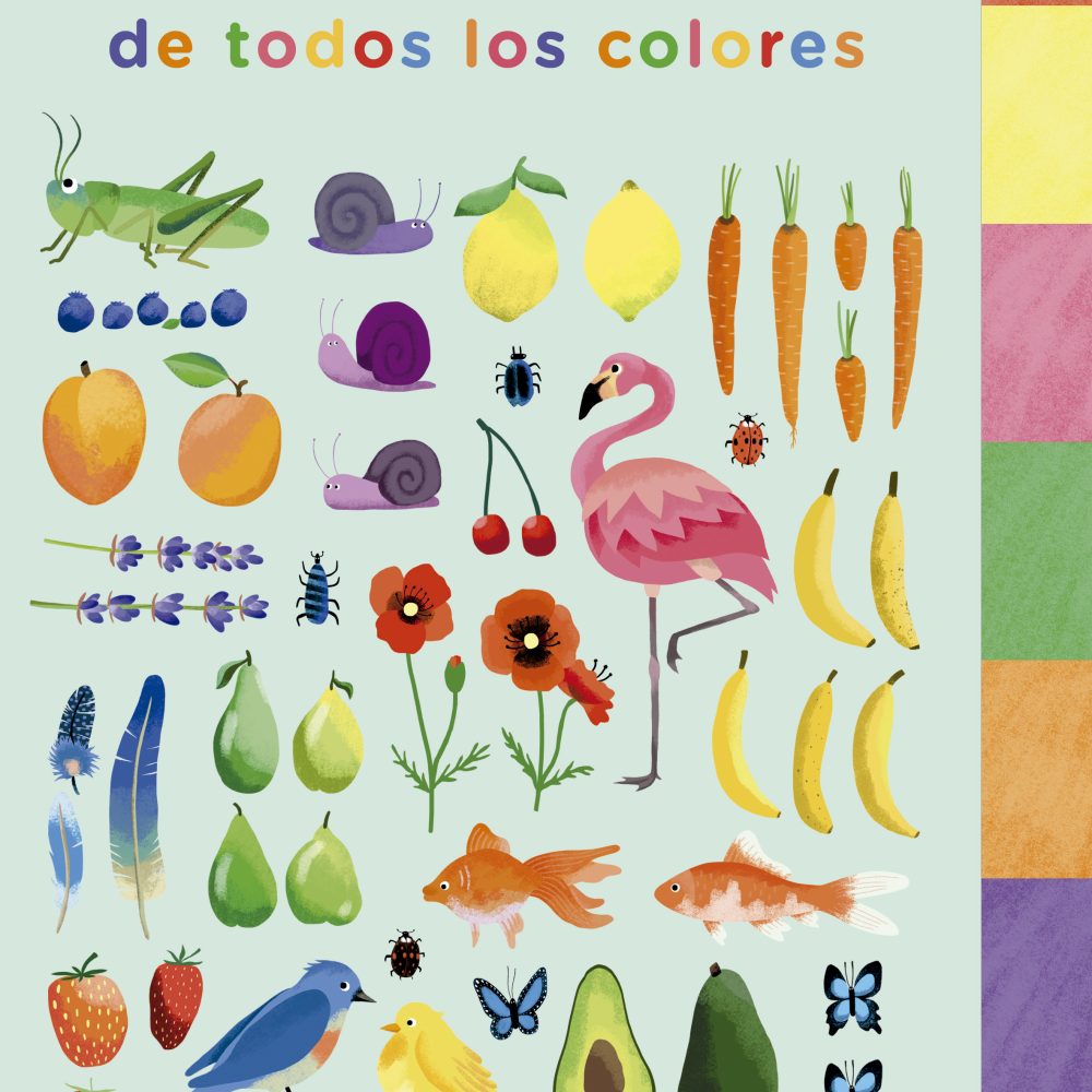 Busca y encuentra de todos los colores