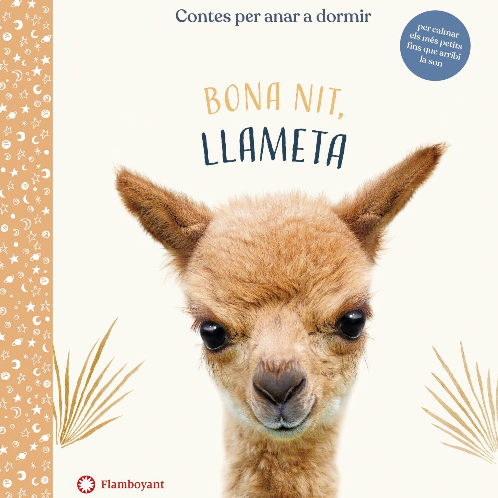 Bona nit, Llameta