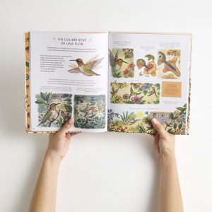 Con calma, aquí y ahora