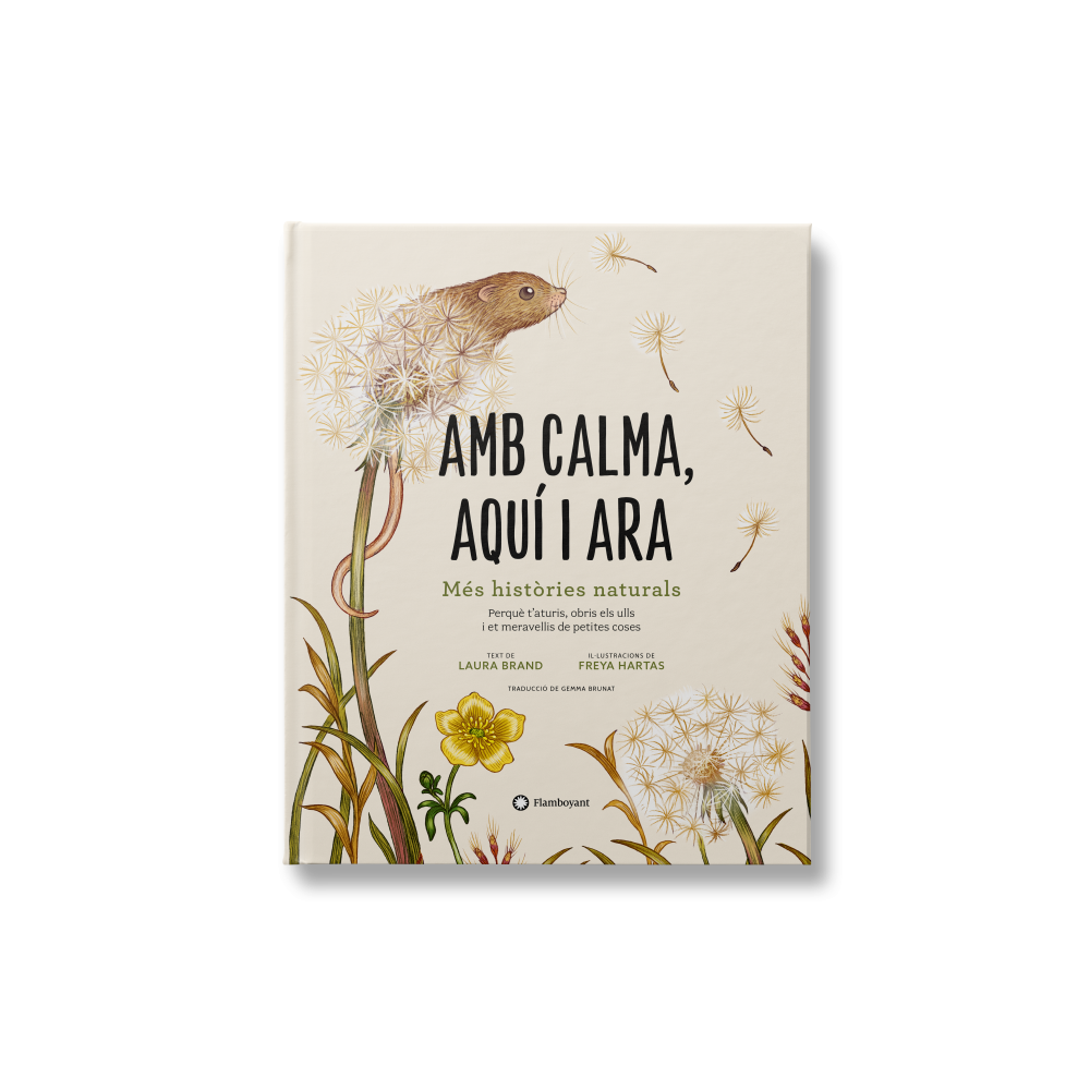 Amb calma, aquí i ara