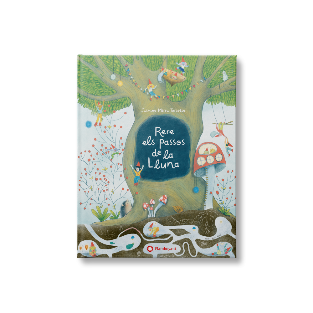 Rere els passos de la Lluna